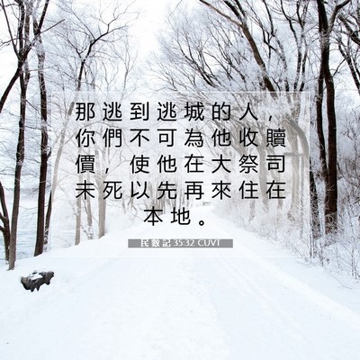 Picture 07 - 民 數 記 35:32 CUVT - 那 逃 到 逃 城 的 人 ， 你 們 不 可 - Bible Verse Picture