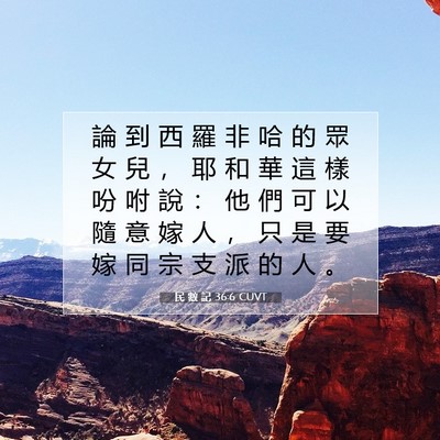 Picture 07 - 民 數 記 36:6 CUVT - 論 到 西 羅 非 哈 的 眾 女 兒 ， 耶 - Bible Verse Picture