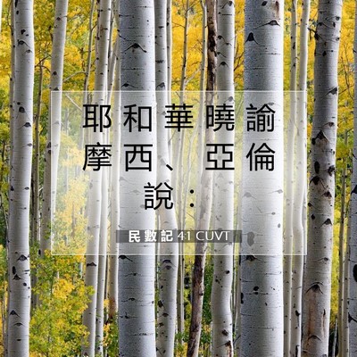 Picture 07 - 民 數 記 4:1 CUVT - 耶 和 華 曉 諭 摩 西 、 亞 倫 說 - Bible Verse Picture