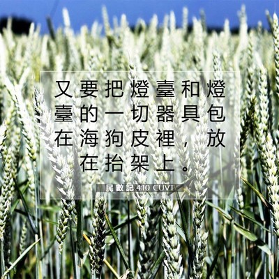 Picture 07 - 民 數 記 4:10 CUVT - 又 要 把 燈 臺 和 燈 臺 的 一 切 器 - Bible Verse Picture