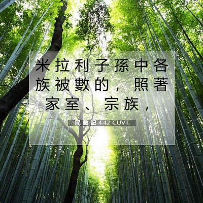 Picture 07 - 民 數 記 4:42 CUVT - 米 拉 利 子 孫 中 各 族 被 數 的 ， - Bible Verse Picture