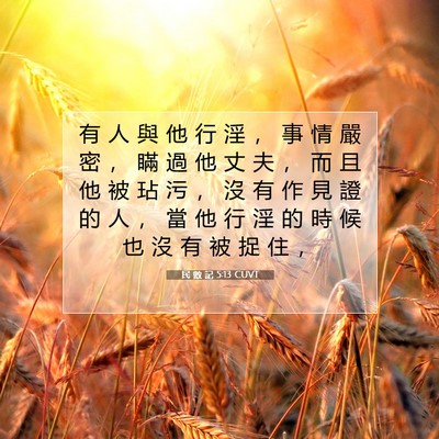 Picture 07 - 民 數 記 5:13 CUVT - 有 人 與 他 行 淫 ， 事 情 嚴 密 ， - Bible Verse Picture