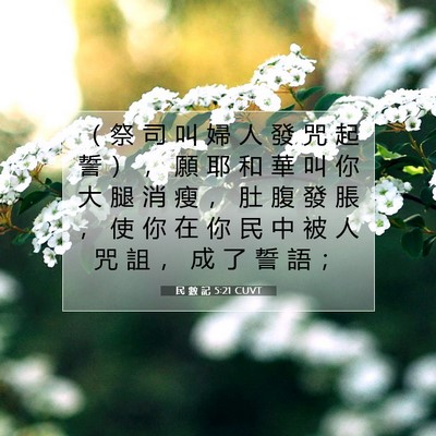 Picture 07 - 民 數 記 5:21 CUVT - （ 祭 司 叫 婦 人 發 咒 起 誓 ） ， - Bible Verse Picture