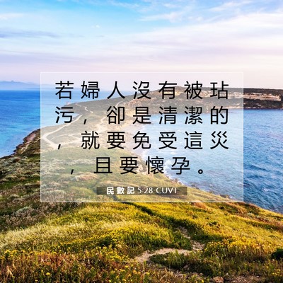 Picture 07 - 民 數 記 5:28 CUVT - 若 婦 人 沒 有 被 玷 污 ， 卻 是 清 - Bible Verse Picture