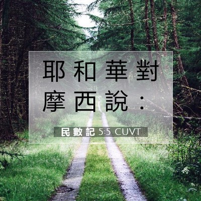 Picture 07 - 民 數 記 5:5 CUVT - 耶 和 華 對 摩 西 說 - Bible Verse Picture