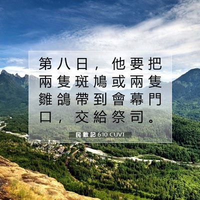 Picture 07 - 民 數 記 6:10 CUVT - 第 八 日 ， 他 要 把 兩 隻 斑 鳩 或 - Bible Verse Picture