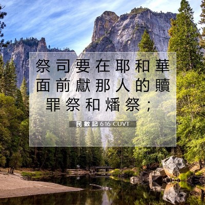 Picture 07 - 民 數 記 6:16 CUVT - 祭 司 要 在 耶 和 華 面 前 獻 那 人 - Bible Verse Picture