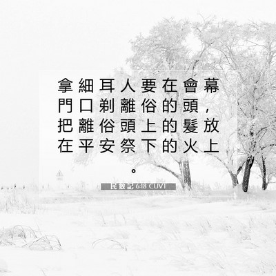Picture 07 - 民 數 記 6:18 CUVT - 拿 細 耳 人 要 在 會 幕 門 口 剃 離 - Bible Verse Picture