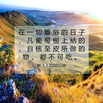 Picture 07 - 民 數 記 6:4 CUVT - 在 一 切 離 俗 的 日 子 ， 凡 葡 萄 - Bible Verse Picture