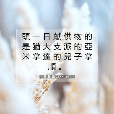 Picture 07 - 民 數 記 7:12 CUVT - 頭 一 日 獻 供 物 的 是 猶 大 支 派 - Bible Verse Picture