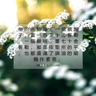 Picture 07 - 民 數 記 7:13 CUVT - 他 的 供 物 是 ： 一 個 銀 盤 子 ， - Bible Verse Picture