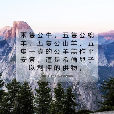 Picture 07 - 民 數 記 7:29 CUVT - 兩 隻 公 牛 ， 五 隻 公 綿 羊 ， 五 - Bible Verse Picture