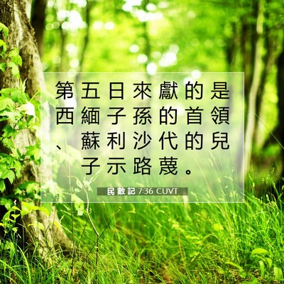 Picture 07 - 民 數 記 7:36 CUVT - 第 五 日 來 獻 的 是 西 緬 子 孫 的 - Bible Verse Picture