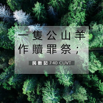Picture 07 - 民 數 記 7:40 CUVT - 一 隻 公 山 羊 作 贖 罪 祭 - Bible Verse Picture