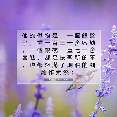 Picture 07 - 民 數 記 7:55 CUVT - 他 的 供 物 是 ： 一 個 銀 盤 子 ， - Bible Verse Picture