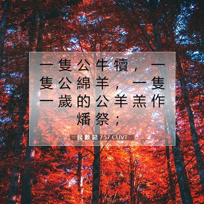 Picture 07 - 民 數 記 7:57 CUVT - 一 隻 公 牛 犢 ， 一 隻 公 綿 羊 ， - Bible Verse Picture