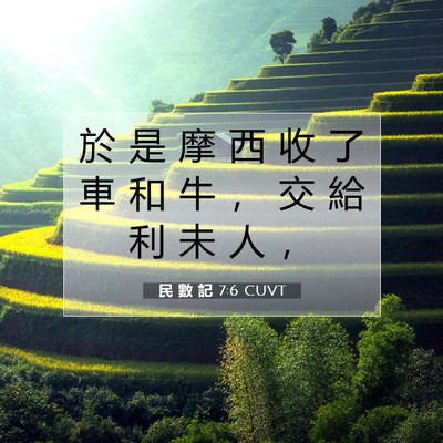 Picture 07 - 民 數 記 7:6 CUVT - 於 是 摩 西 收 了 車 和 牛 ， 交 給 - Bible Verse Picture