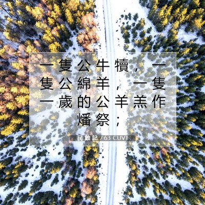 Picture 07 - 民 數 記 7:63 CUVT - 一 隻 公 牛 犢 ， 一 隻 公 綿 羊 ， - Bible Verse Picture