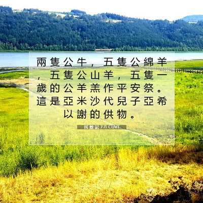 Picture 07 - 民 數 記 7:71 CUVT - 兩 隻 公 牛 ， 五 隻 公 綿 羊 ， 五 - Bible Verse Picture