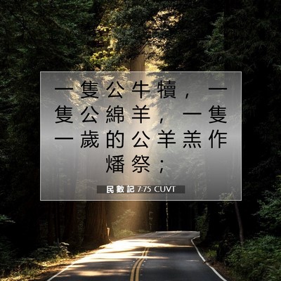 Picture 07 - 民 數 記 7:75 CUVT - 一 隻 公 牛 犢 ， 一 隻 公 綿 羊 ， - Bible Verse Picture