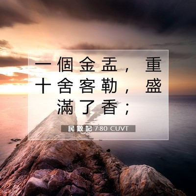 Picture 07 - 民 數 記 7:80 CUVT - 一 個 金 盂 ， 重 十 舍 客 勒 ， 盛 - Bible Verse Picture
