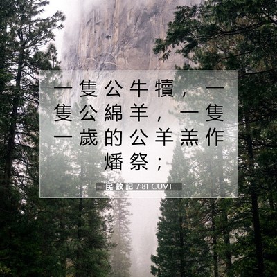 Picture 07 - 民 數 記 7:81 CUVT - 一 隻 公 牛 犢 ， 一 隻 公 綿 羊 ， - Bible Verse Picture