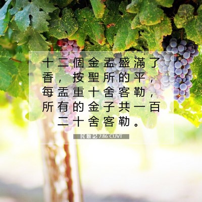 Picture 07 - 民 數 記 7:86 CUVT - 十 二 個 金 盂 盛 滿 了 香 ， 按 聖 - Bible Verse Picture