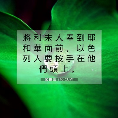 Picture 07 - 民 數 記 8:10 CUVT - 將 利 未 人 奉 到 耶 和 華 面 前 ， - Bible Verse Picture