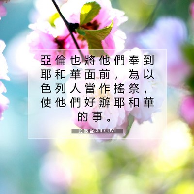Picture 07 - 民 數 記 8:11 CUVT - 亞 倫 也 將 他 們 奉 到 耶 和 華 面 - Bible Verse Picture