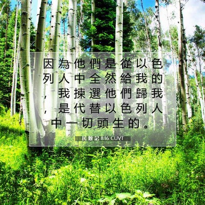 Picture 07 - 民 數 記 8:16 CUVT - 因 為 他 們 是 從 以 色 列 人 中 全 - Bible Verse Picture
