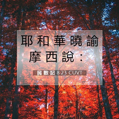 Picture 07 - 民 數 記 8:23 CUVT - 耶 和 華 曉 諭 摩 西 說 - Bible Verse Picture
