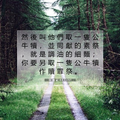 Picture 07 - 民 數 記 8:8 CUVT - 然 後 叫 他 們 取 一 隻 公 牛 犢 ， - Bible Verse Picture