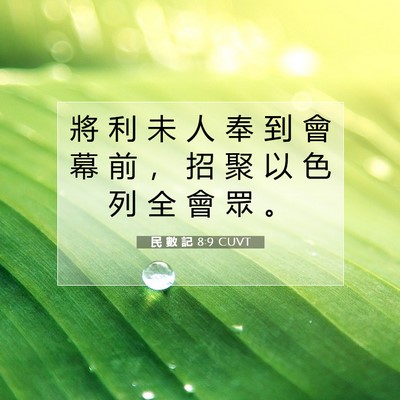 Picture 07 - 民 數 記 8:9 CUVT - 將 利 未 人 奉 到 會 幕 前 ， 招 聚 - Bible Verse Picture