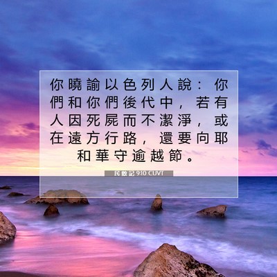Picture 07 - 民 數 記 9:10 CUVT - 你 曉 諭 以 色 列 人 說 ： 你 們 和 - Bible Verse Picture