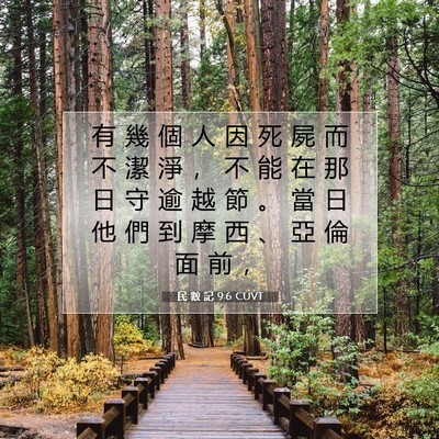 Picture 07 - 民 數 記 9:6 CUVT - 有 幾 個 人 因 死 屍 而 不 潔 淨 ， - Bible Verse Picture
