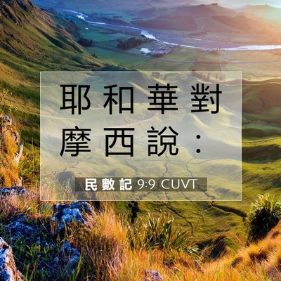 Picture 07 - 民 數 記 9:9 CUVT - 耶 和 華 對 摩 西 說 - Bible Verse Picture