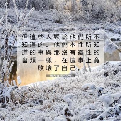 Picture 07 - 猶 大 書 1:10 CUVT - 但 這 些 人 毀 謗 他 們 所 不 知 道 - Bible Verse Picture