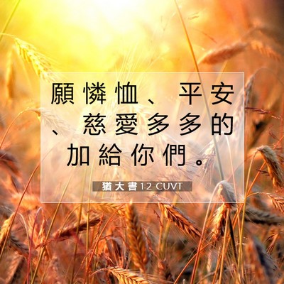 Picture 07 - 猶 大 書 1:2 CUVT - 願 憐 恤 、 平 安 、 慈 愛 多 多 的 - Bible Verse Picture