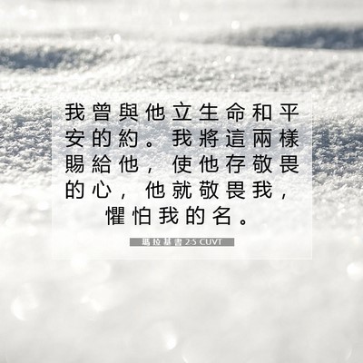 Picture 07 - 瑪 拉 基 書 2:5 CUVT - 我 曾 與 他 立 生 命 和 平 安 的 約 - Bible Verse Picture