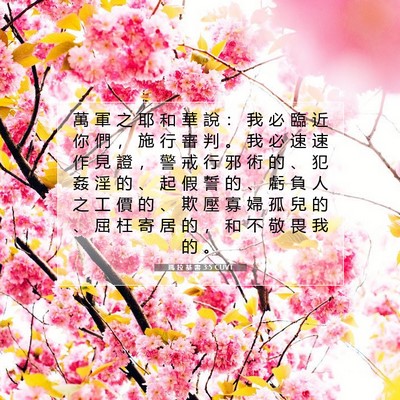 Picture 07 - 瑪 拉 基 書 3:5 CUVT - 萬 軍 之 耶 和 華 說 ： 我 必 臨 近 - Bible Verse Picture