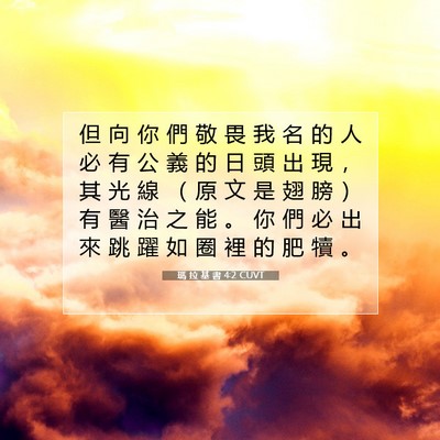 Picture 07 - 瑪 拉 基 書 4:2 CUVT - 但 向 你 們 敬 畏 我 名 的 人 必 有 - Bible Verse Picture