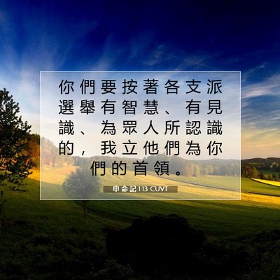 Picture 07 - 申 命 記 1:13 CUVT - 你 們 要 按 著 各 支 派 選 舉 有 智 - Bible Verse Picture