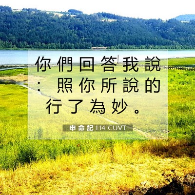 Picture 07 - 申 命 記 1:14 CUVT - 你 們 回 答 我 說 ： 照 你 所 說 的 - Bible Verse Picture