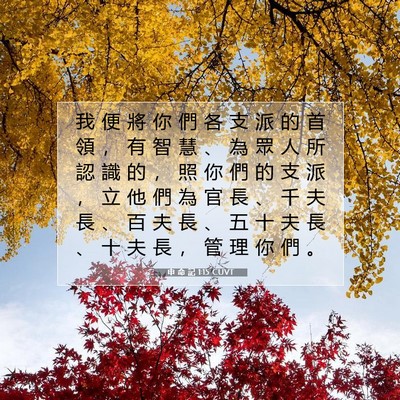 Picture 07 - 申 命 記 1:15 CUVT - 我 便 將 你 們 各 支 派 的 首 領 ， - Bible Verse Picture