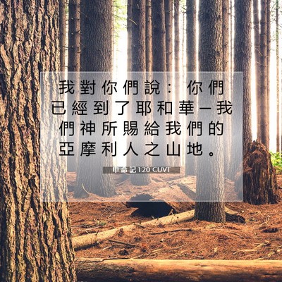 Picture 07 - 申 命 記 1:20 CUVT - 我 對 你 們 說 ： 你 們 已 經 到 了 - Bible Verse Picture
