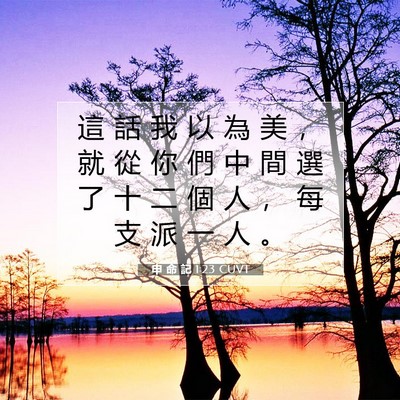 Picture 07 - 申 命 記 1:23 CUVT - 這 話 我 以 為 美 ， 就 從 你 們 中 - Bible Verse Picture
