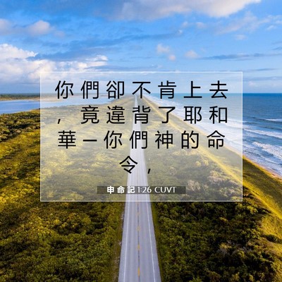 Picture 07 - 申 命 記 1:26 CUVT - 你 們 卻 不 肯 上 去 ， 竟 違 背 了 - Bible Verse Picture