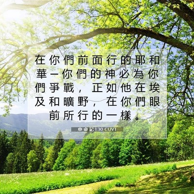 Picture 07 - 申 命 記 1:30 CUVT - 在 你 們 前 面 行 的 耶 和 華 ─ 你 - Bible Verse Picture