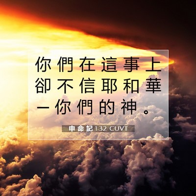 Picture 07 - 申 命 記 1:32 CUVT - 你 們 在 這 事 上 卻 不 信 耶 和 華 - Bible Verse Picture
