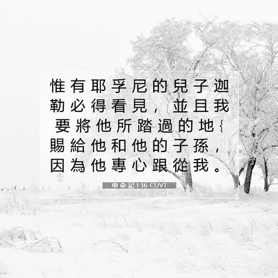 Picture 07 - 申 命 記 1:36 CUVT - 惟 有 耶 孚 尼 的 兒 子 迦 勒 必 得 - Bible Verse Picture